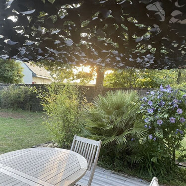 Filets de camouflage sur mesure. Toutes dimensions. Rapport qualité prix. MONFILETDECAMOUFLAGE.COM